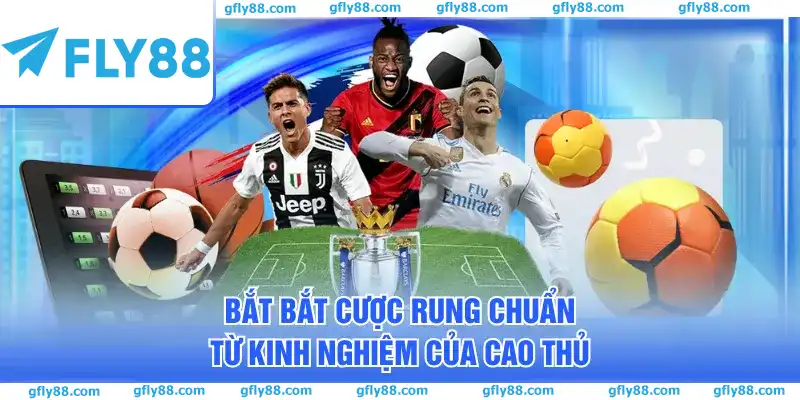 Bắt bắt cược rung chuẩn từ kinh nghiệm của cao thủ