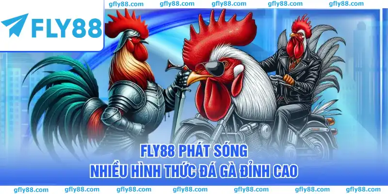 FLY88 phát sóng nhiều hình thức đá gà đỉnh cao FLY88 phát sóng nhiều hình thức đá gà đỉnh cao